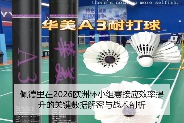 pei-de-li-zai-ou-zhou-bei-xiao-zu-sai-jie-ying-xiao-lv-ti-sheng-de-guan-jian-shu-ju-jie-mi-yu-zhan-shu-pou-xi-2-344.jpg