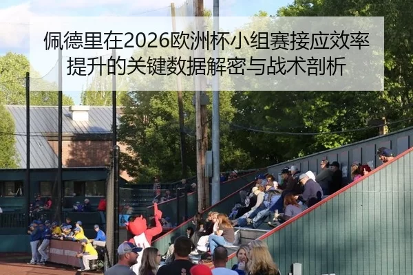 佩德里在2026欧洲杯小组赛接应效率提升的关键数据解密与战术剖析